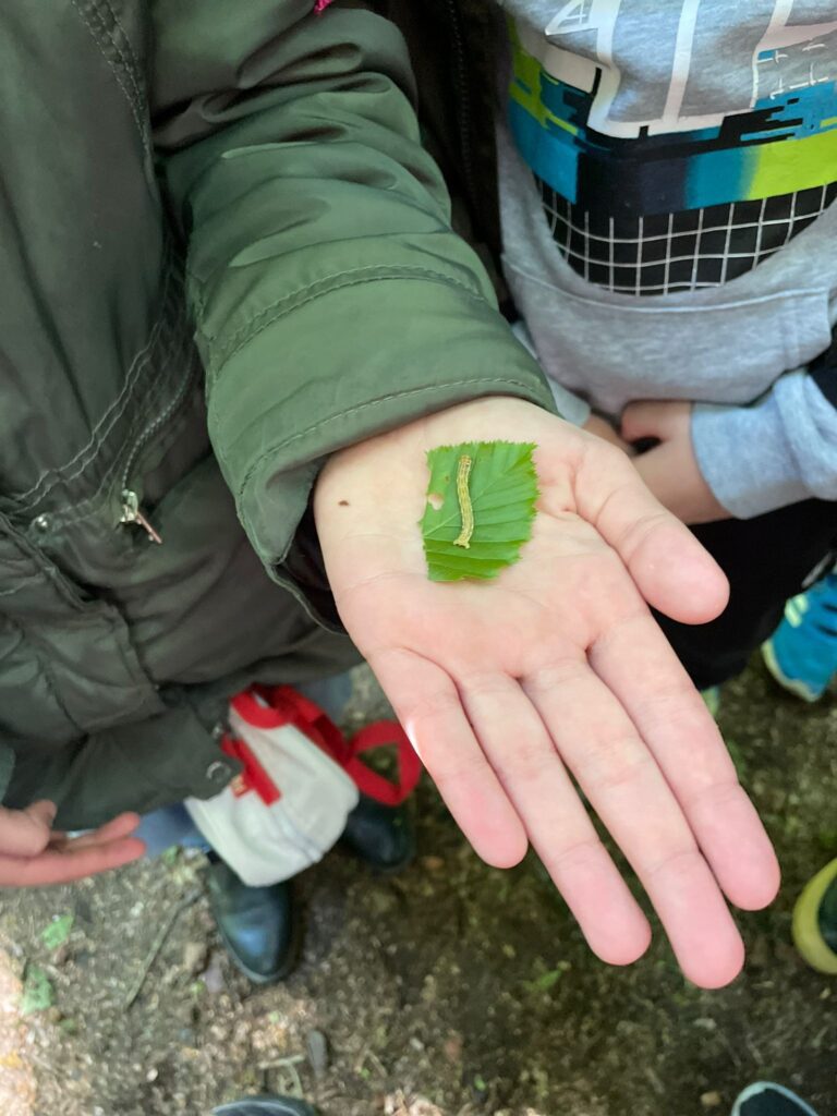PHOTO 2024 04 26 14 53 24