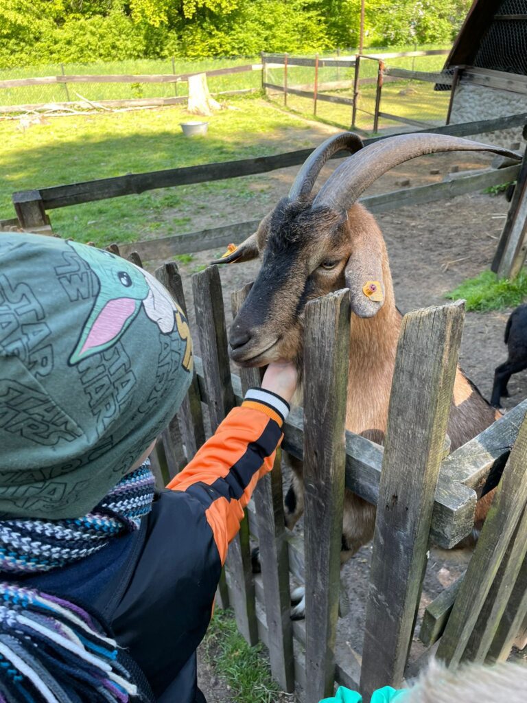 PHOTO 2024 04 26 14 53 30