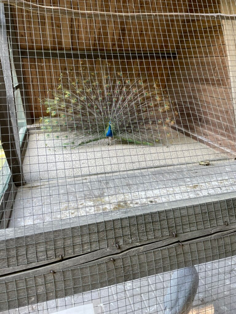 PHOTO 2024 04 26 14 53 30 1