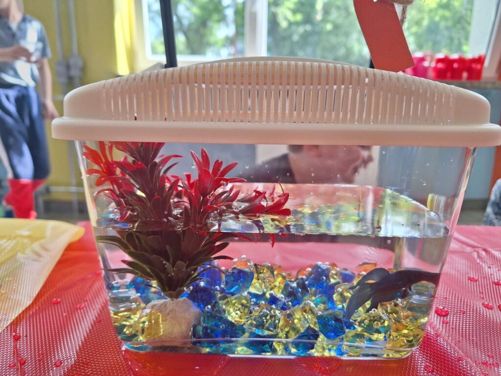 PHOTO 2024 05 30 20 33 28 6
