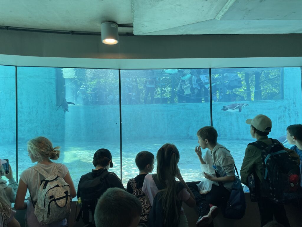 IMG 1663
