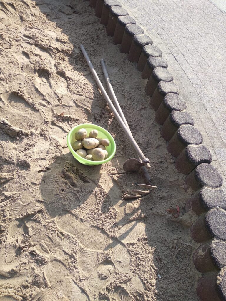 PHOTO 2024 09 19 14 18 03