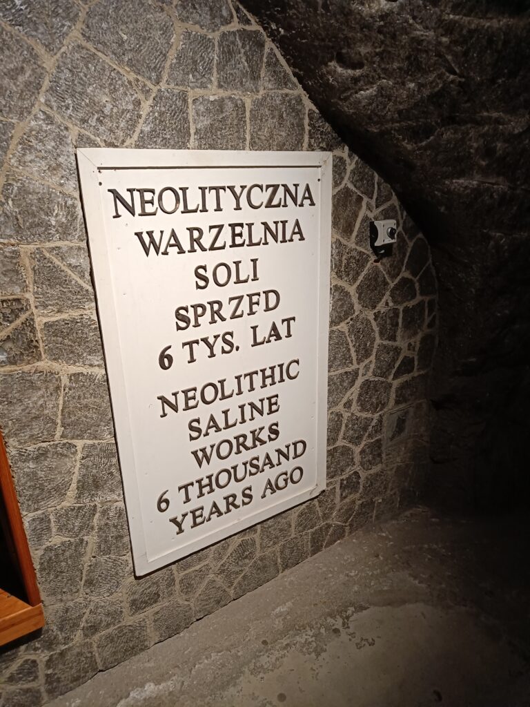 IMG20241029105230