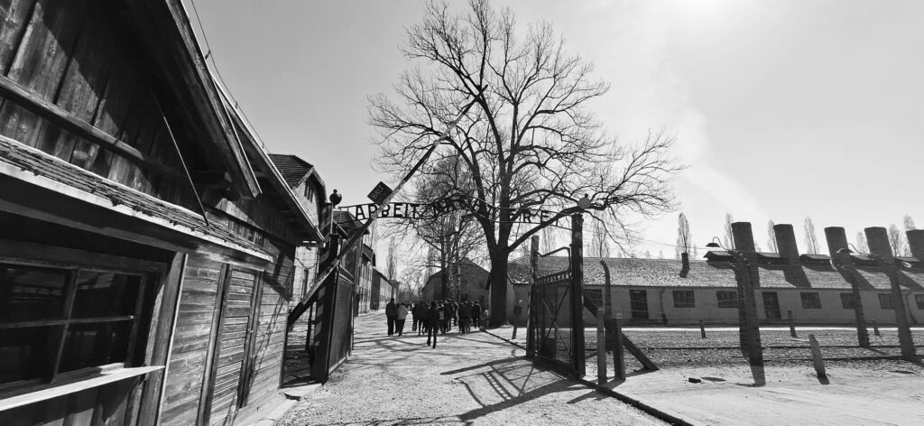 Aushwitz 1